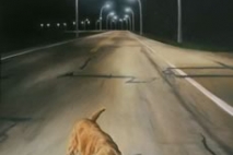 Rover, oil on masonite, 1996