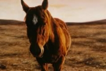 Scout, oil on masonite, 1996