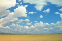 wheatfield_2005g