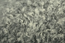 blackandwhitebeauty2009