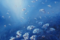 Aqueous, 11