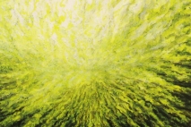Suntitled, 12