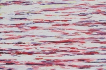 Pectin, 10