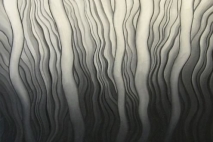 Undulation, 16