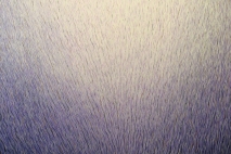 Filaments,  30" x 36", acrylic on canvas, 2011