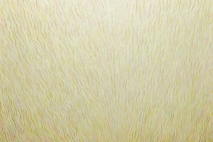 Soft Riot, 30